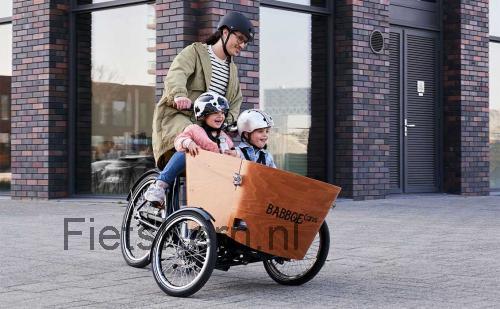 Babboe Carve specificaties 